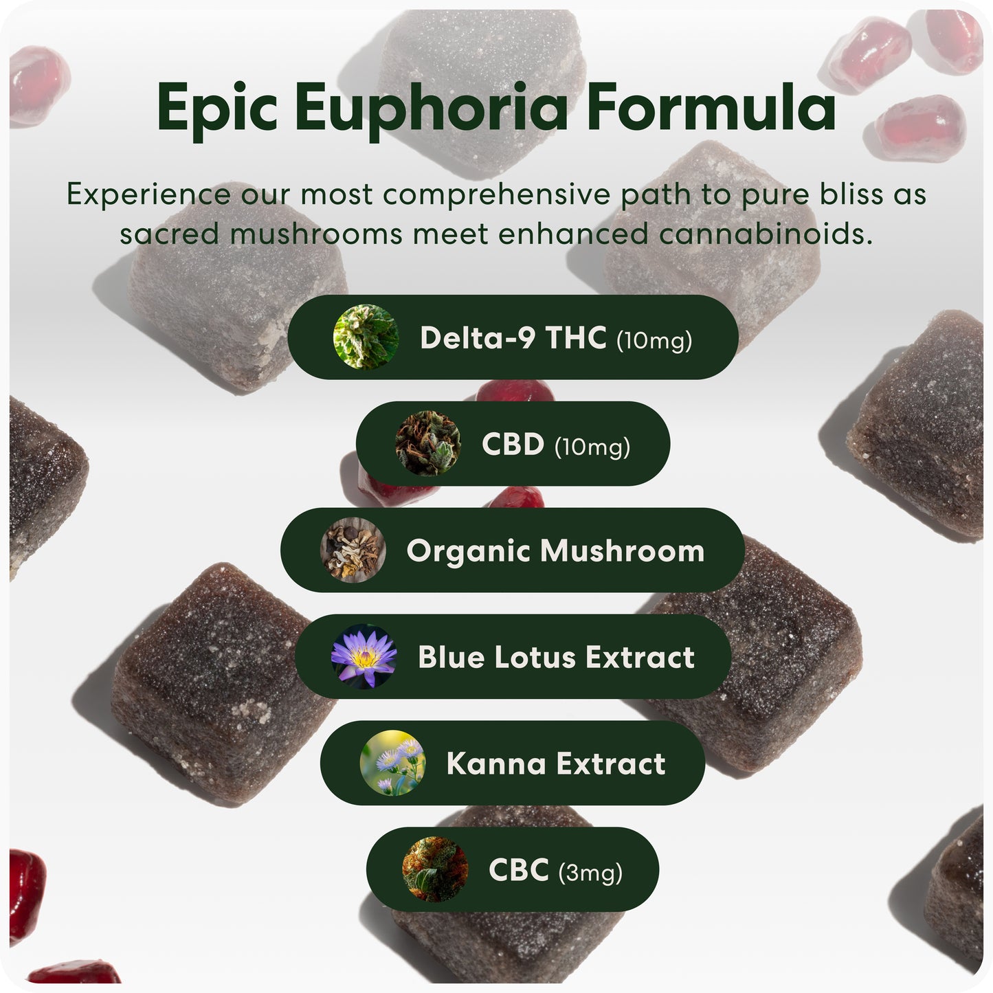 Epic Euphoria THC Gummies