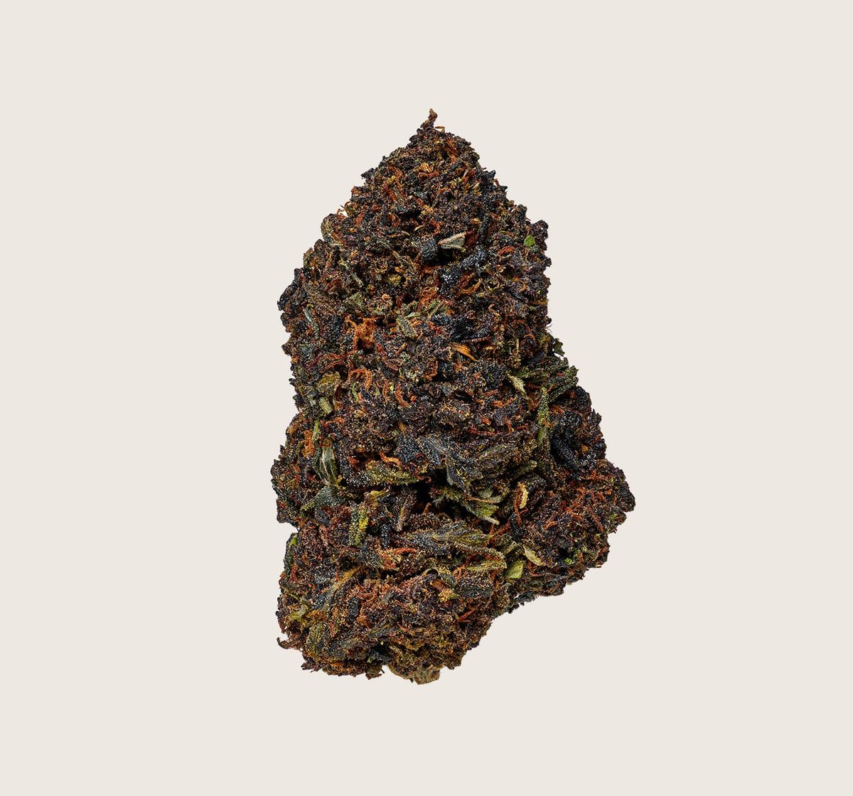 Mind Spark - image 2