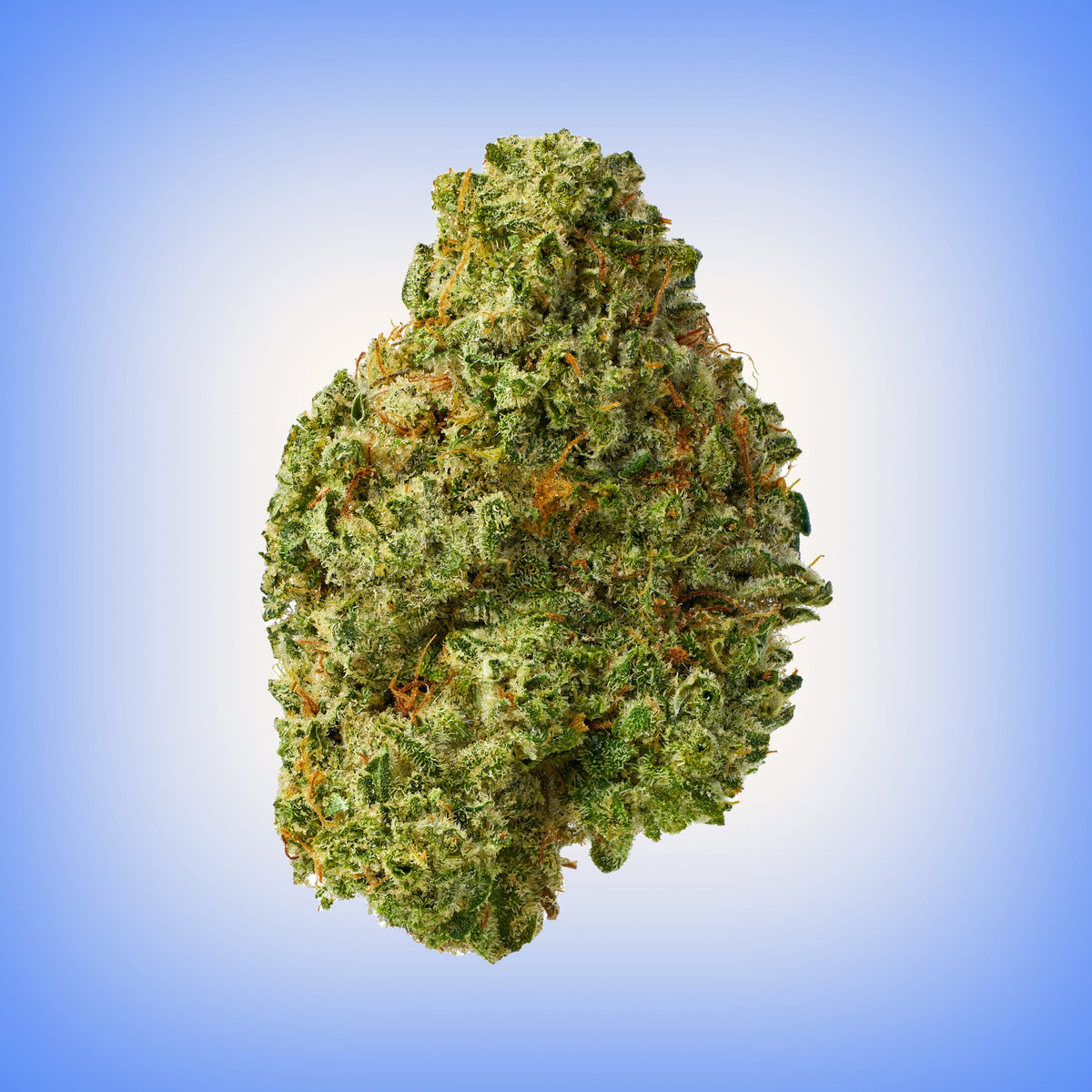 Smoker Summer Bundle - image 2