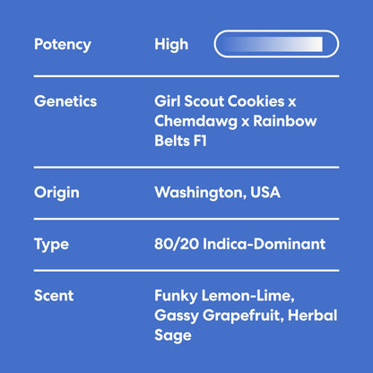 Smoker Summer Bundle - image 3