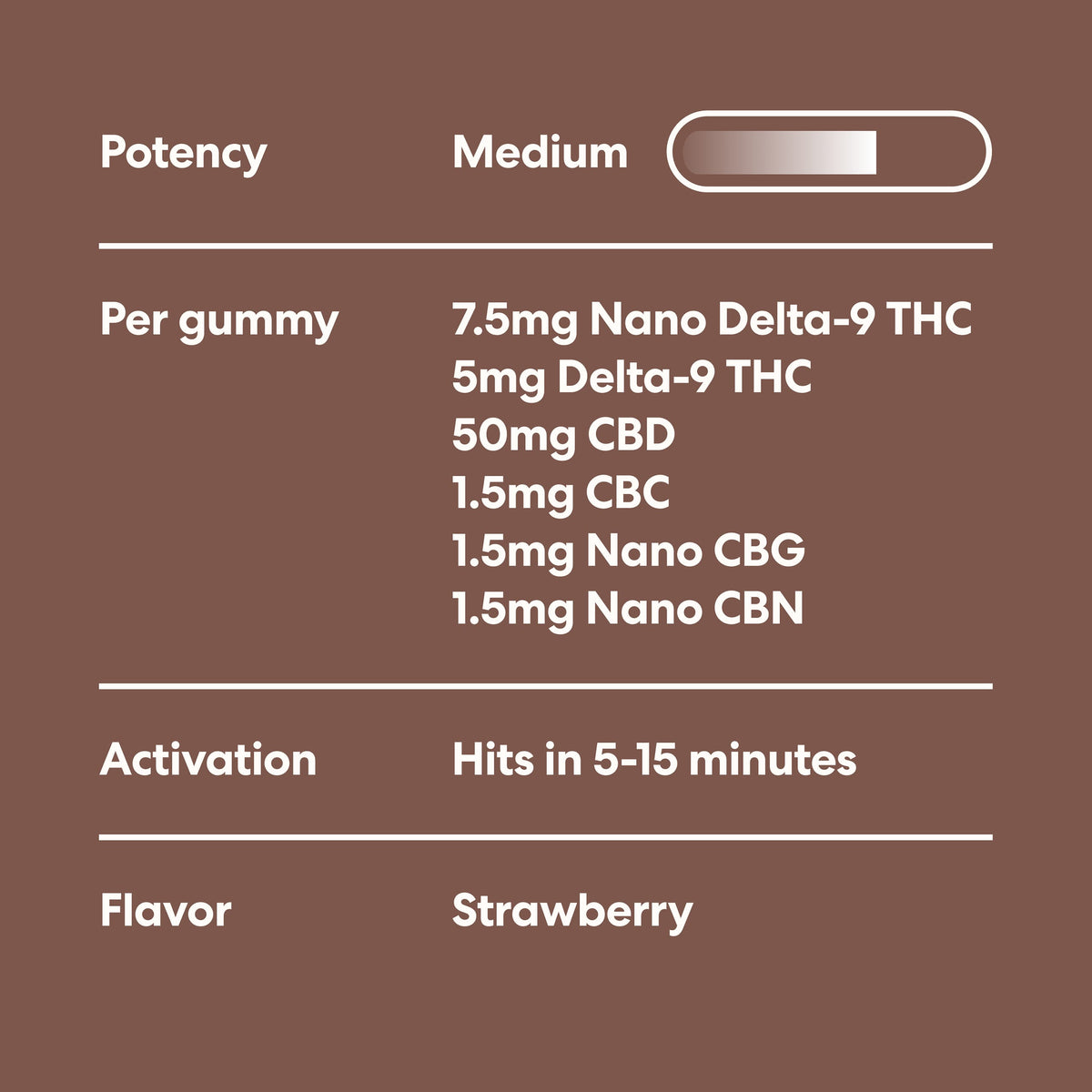 Fitness Bundle - image 6