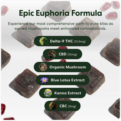 Epic Euphoria THC Gummies