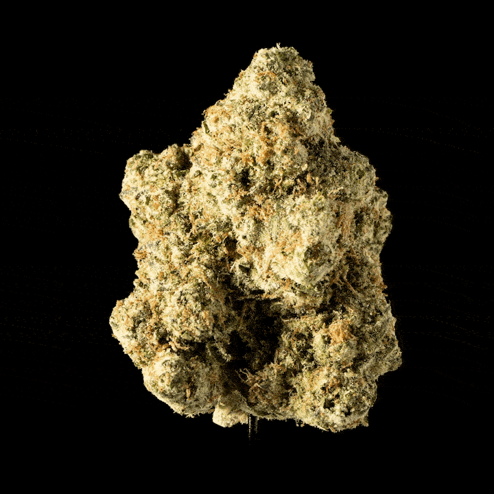 Eureka - image 5