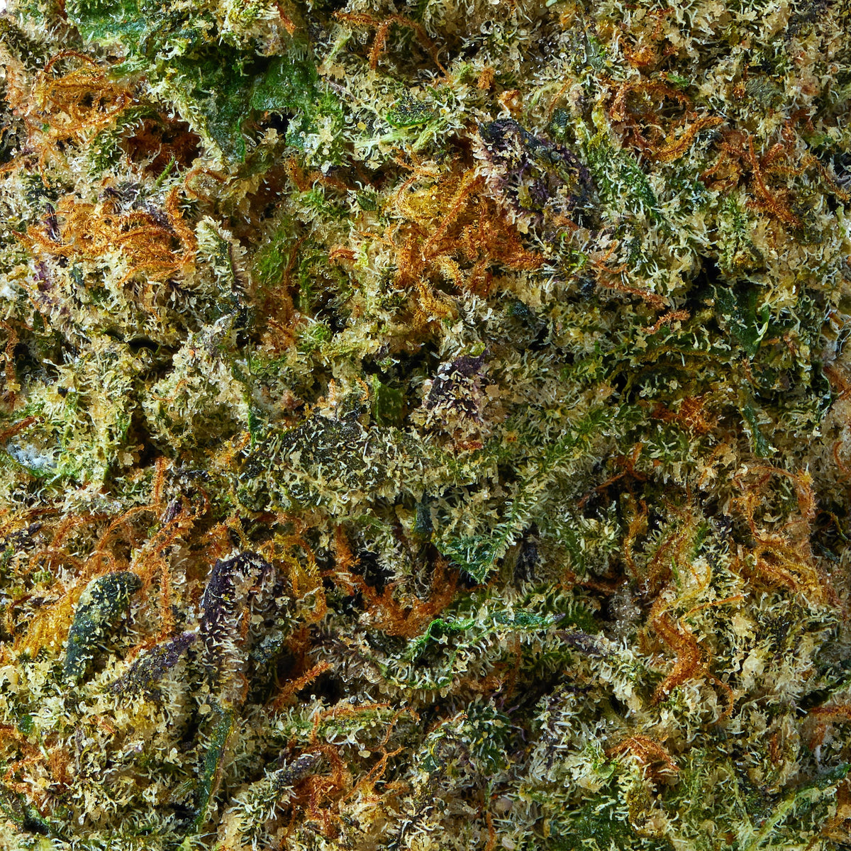 Eureka - image 7