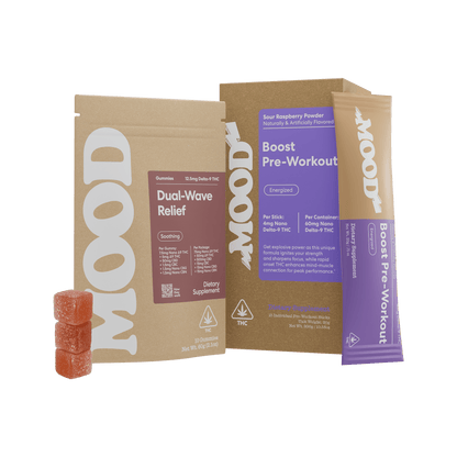 Fitness Bundle - image 1