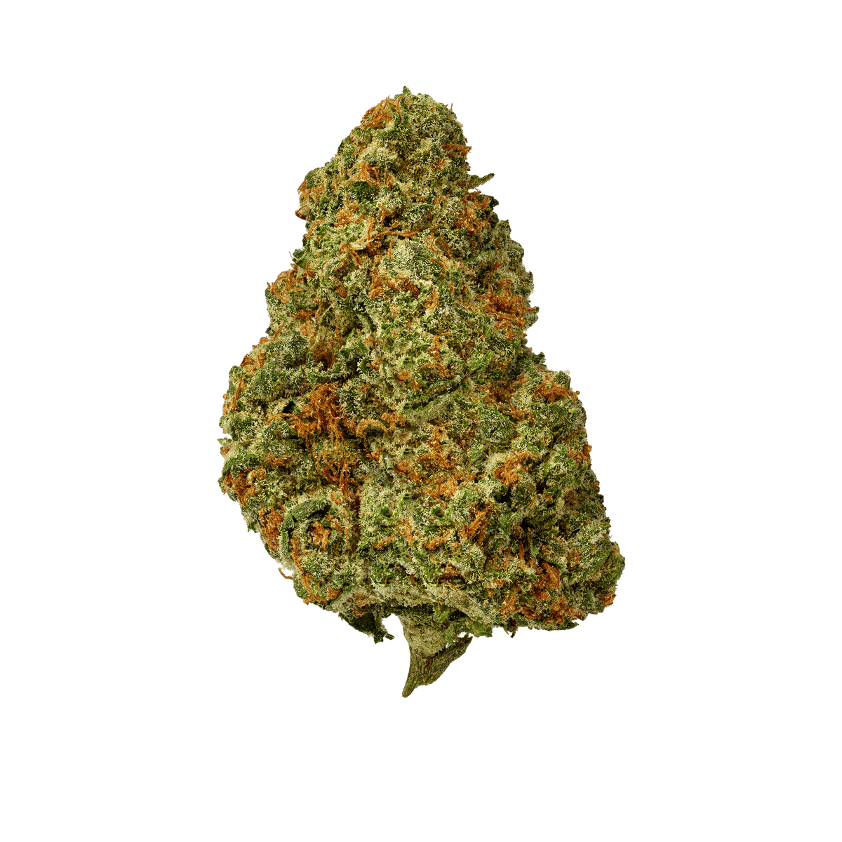 Genius Glow - image 1