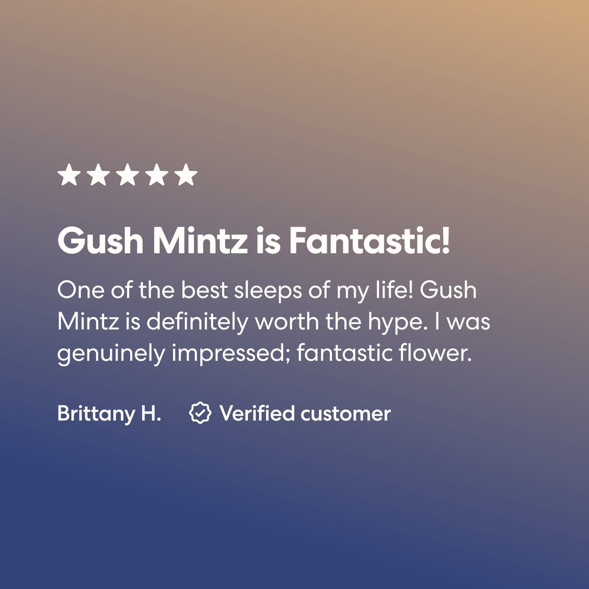 Gush Mintz - image 2