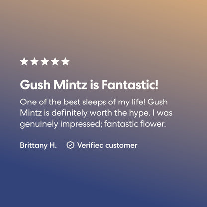 Gush Mintz - image 2