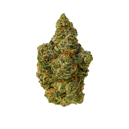 Gush Mintz - image 1