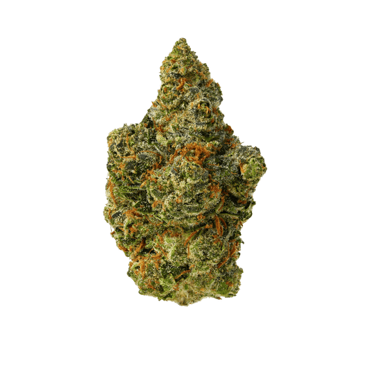 Gush Mintz - image 1