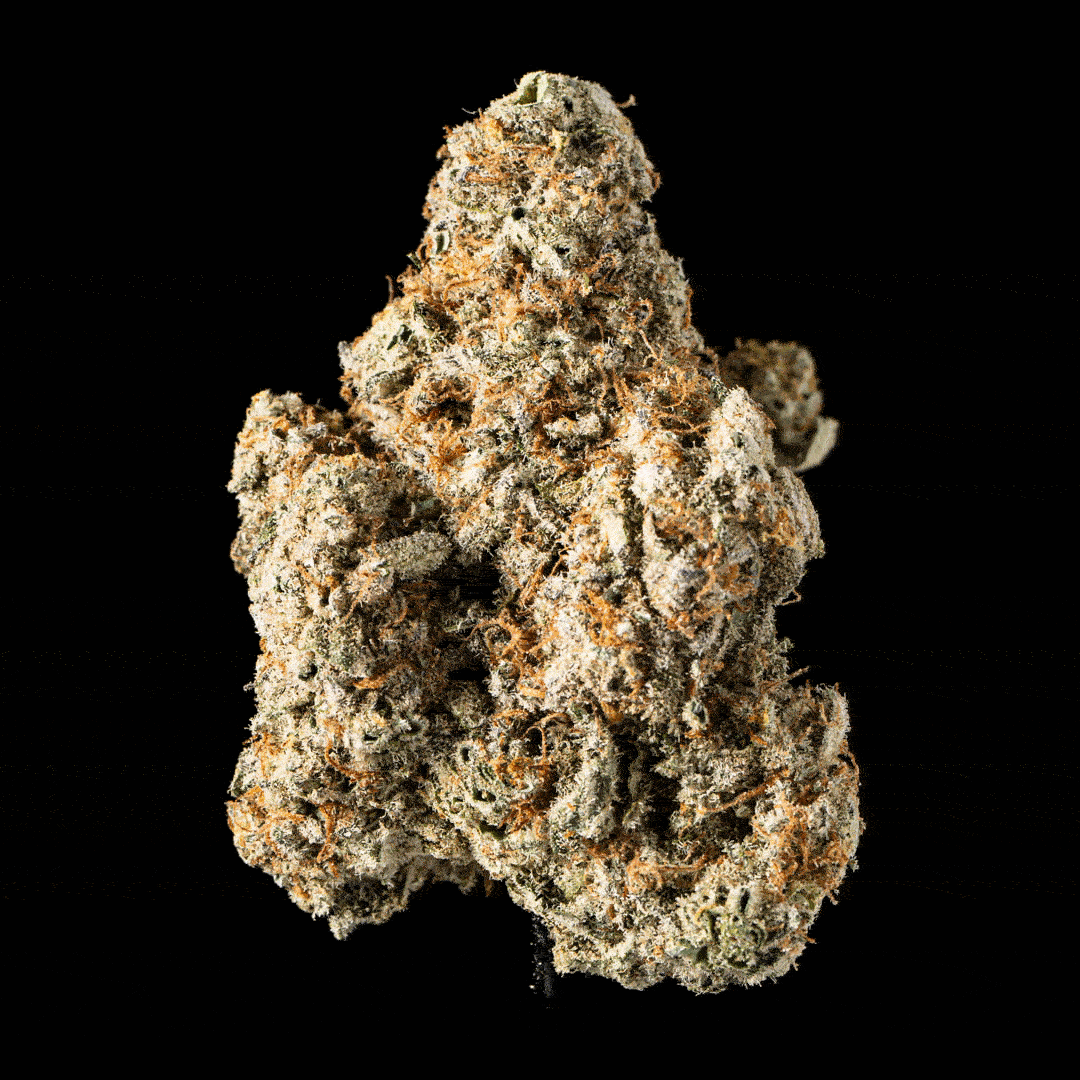Gush Mintz - image 5