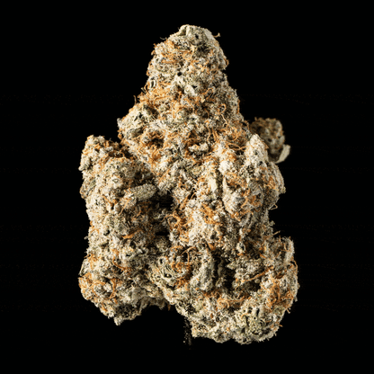 Gush Mintz - image 5