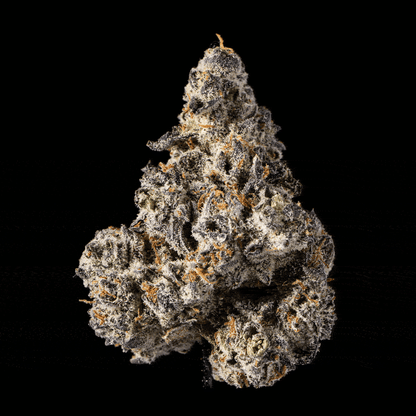 Oreoz - image 6