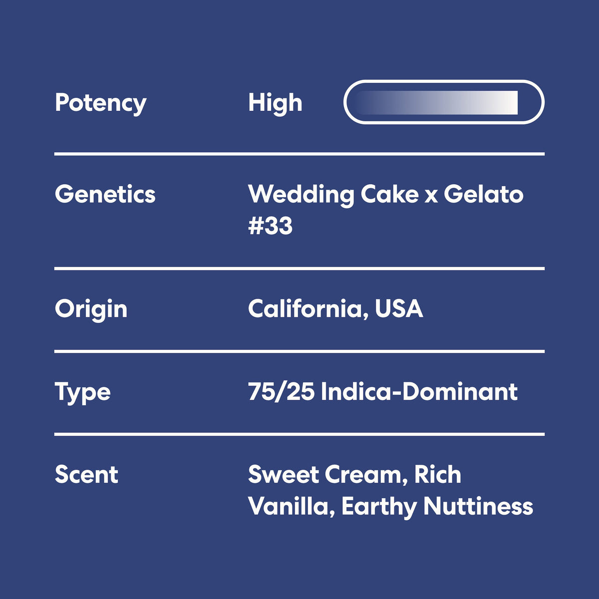 Ice Cream Cake - image 4