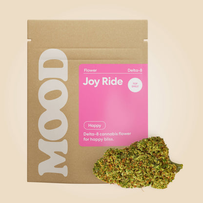 Joy Ride - image 4