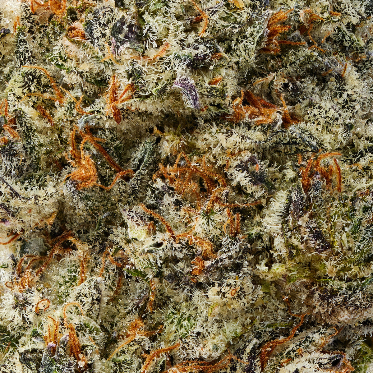 Oreoz - image 8