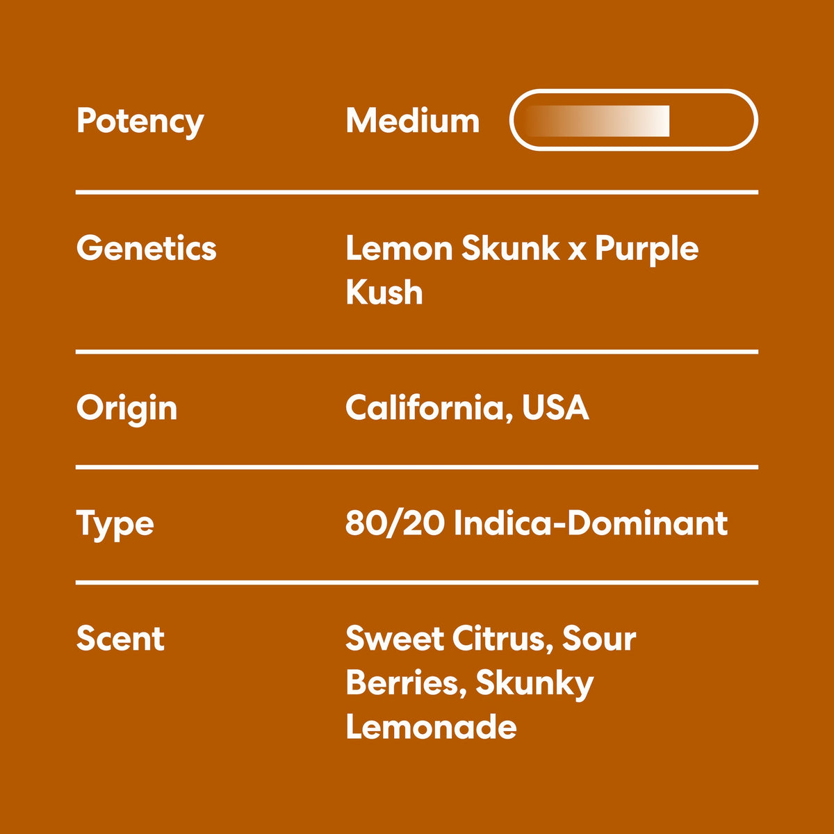 Pink Lemonade - image 4