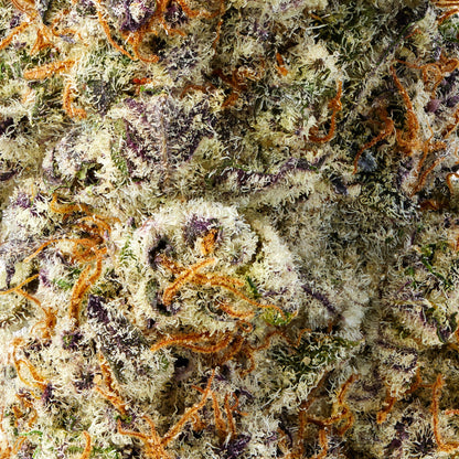 Purple Punch - image 6