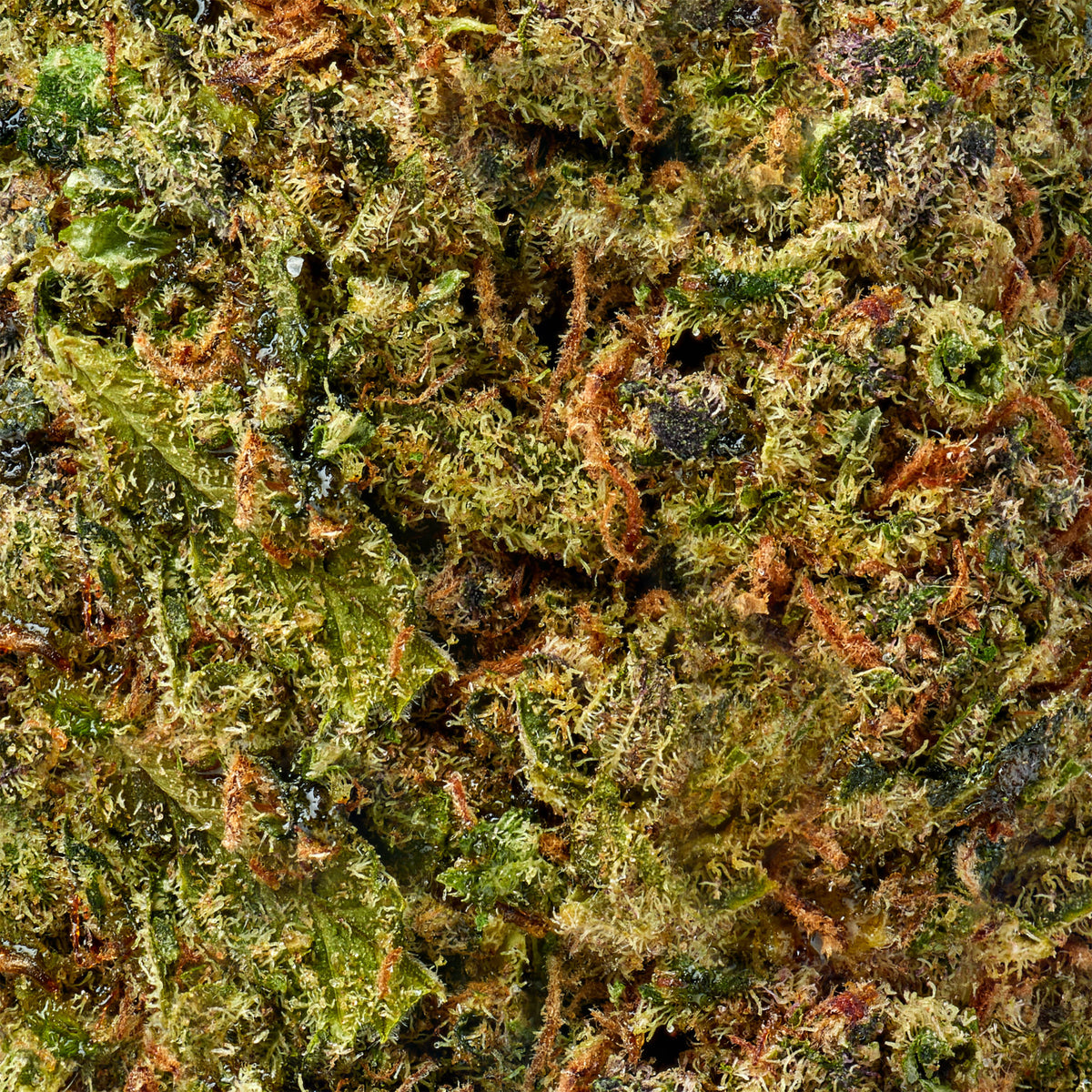 Rocket Fuel - image 5