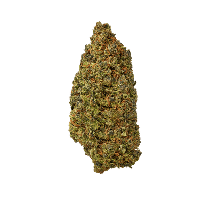 Rocket Fuel - image 1