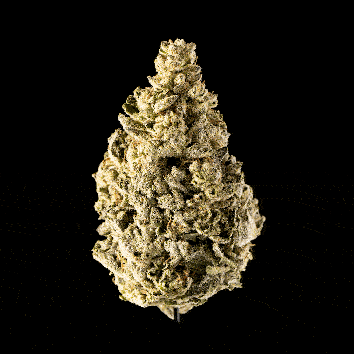 Runtz - image 6