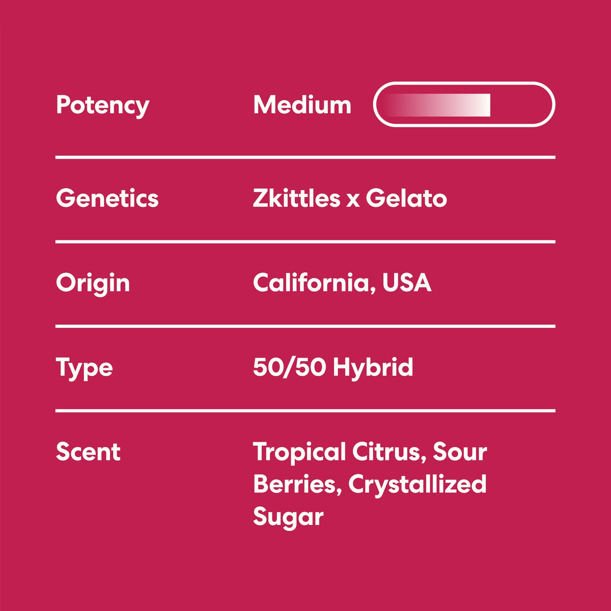 Runtz - image 4