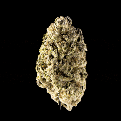 Slurricane - image 6