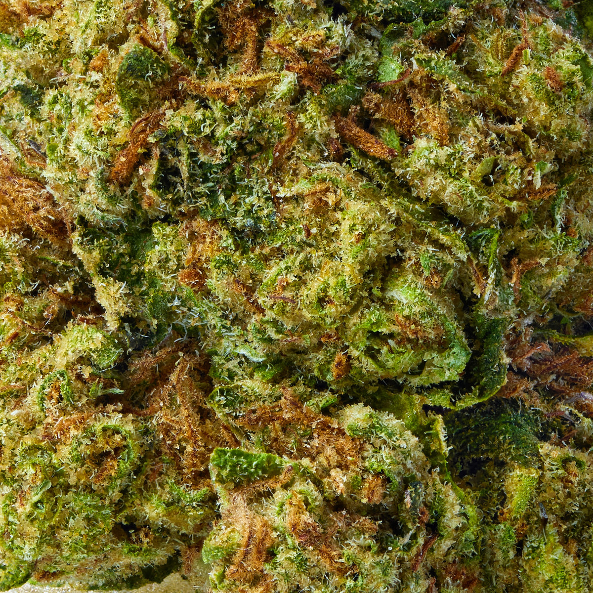 Slurricane - image 8