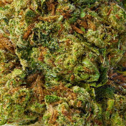 Slurricane - image 8