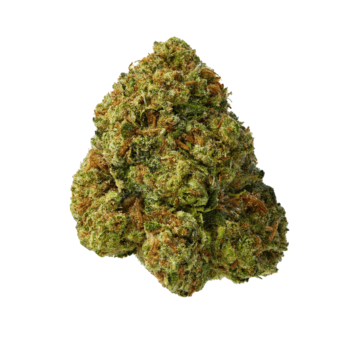 Slurricane - image 1