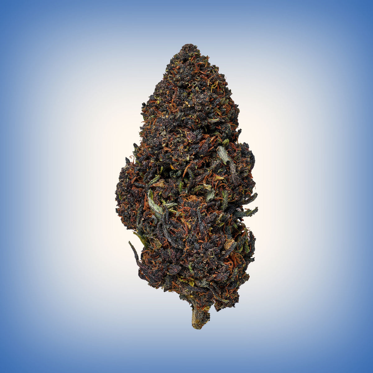 Snoozeberry - image 6