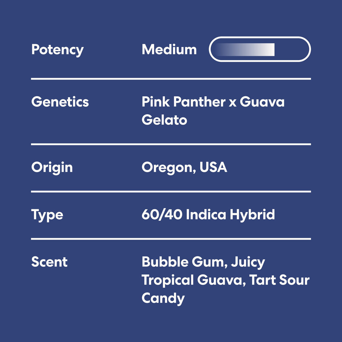 Snoozeberry - image 3