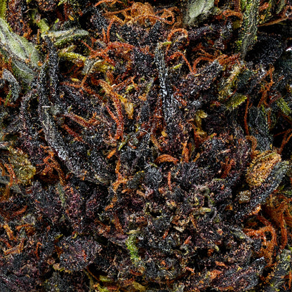 Snoozeberry - image 5