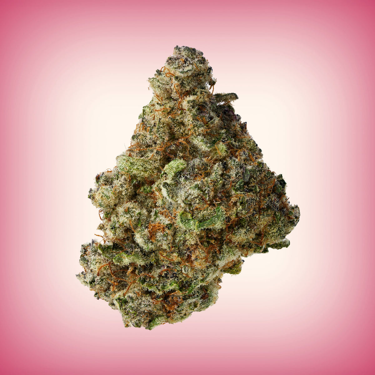 Smoker Summer Bundle - image 6