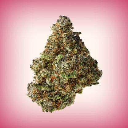 Smoker Summer Bundle - image 6
