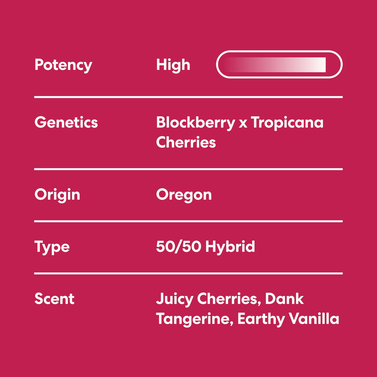 Super Buff Cherry - image 4