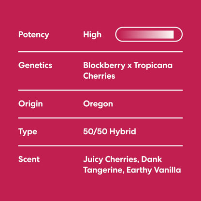 Super Buff Cherry - image 4