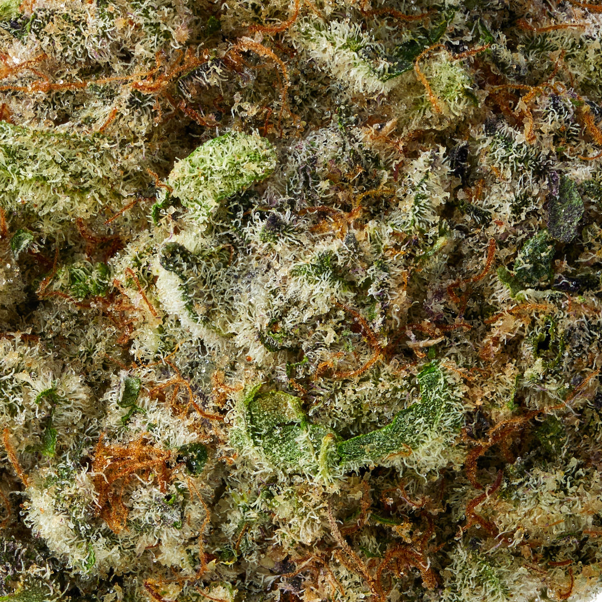 Super Buff Cherry - image 8