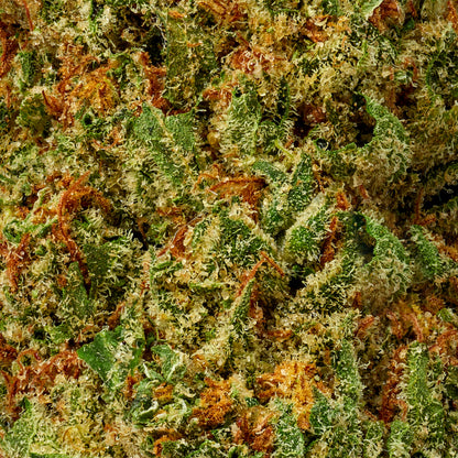 Super Lemon Haze - image 5