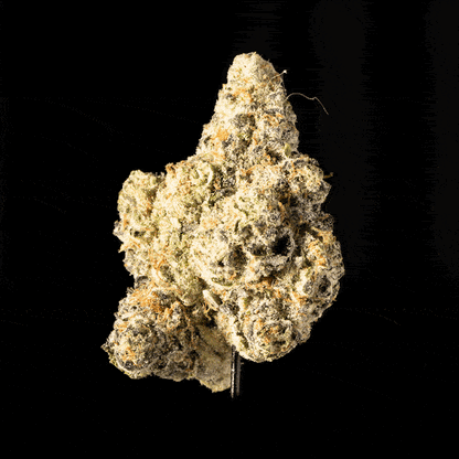Pink Lemonade - image 5
