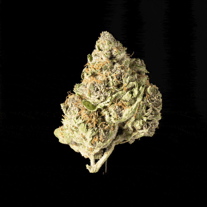 Purple Punch - image 5