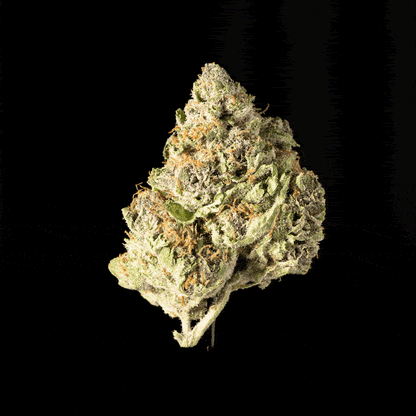 Purple Punch - image 5