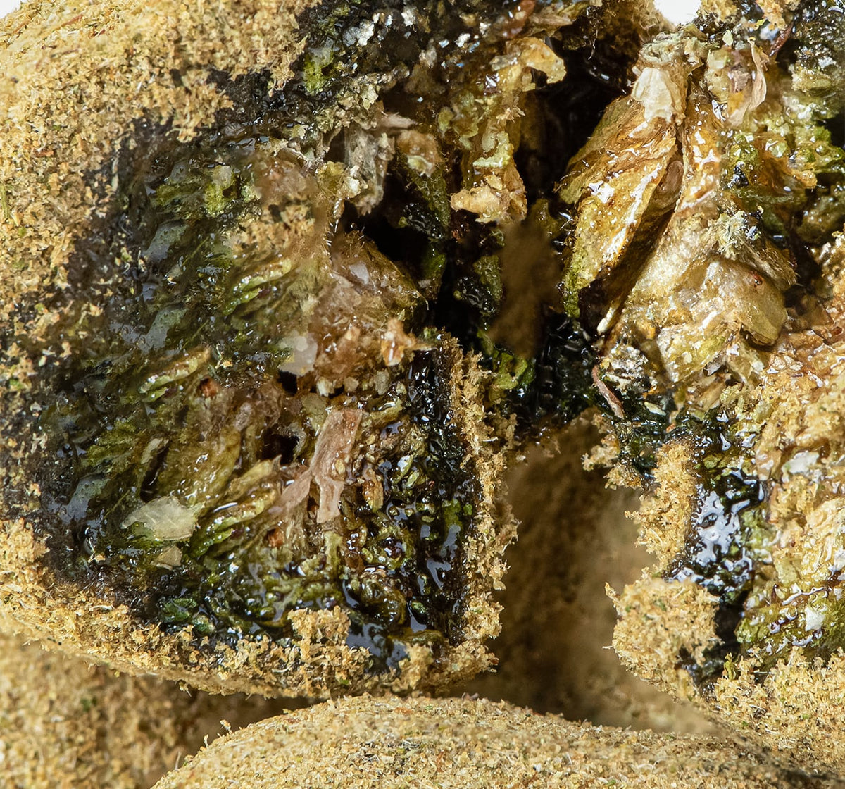THCa Moonrocks - image 2