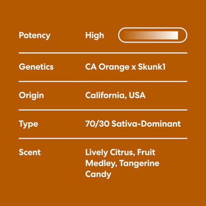 Tangie - image 3