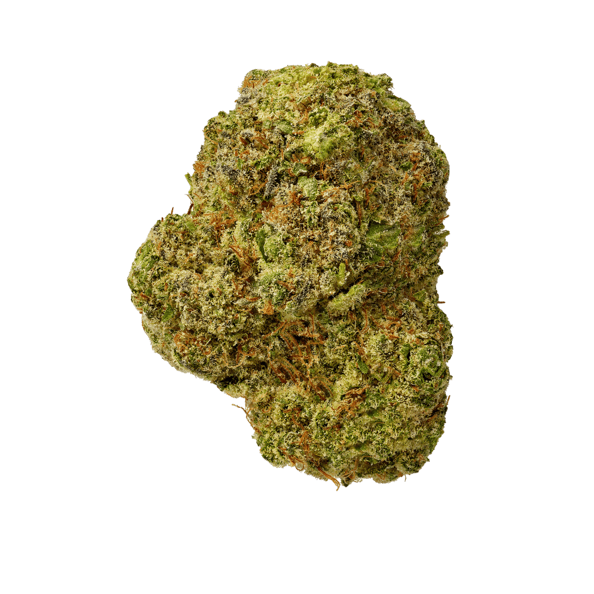 Tangie - image 1